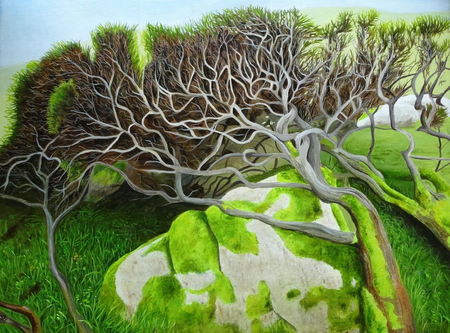 Where The Fairies Play