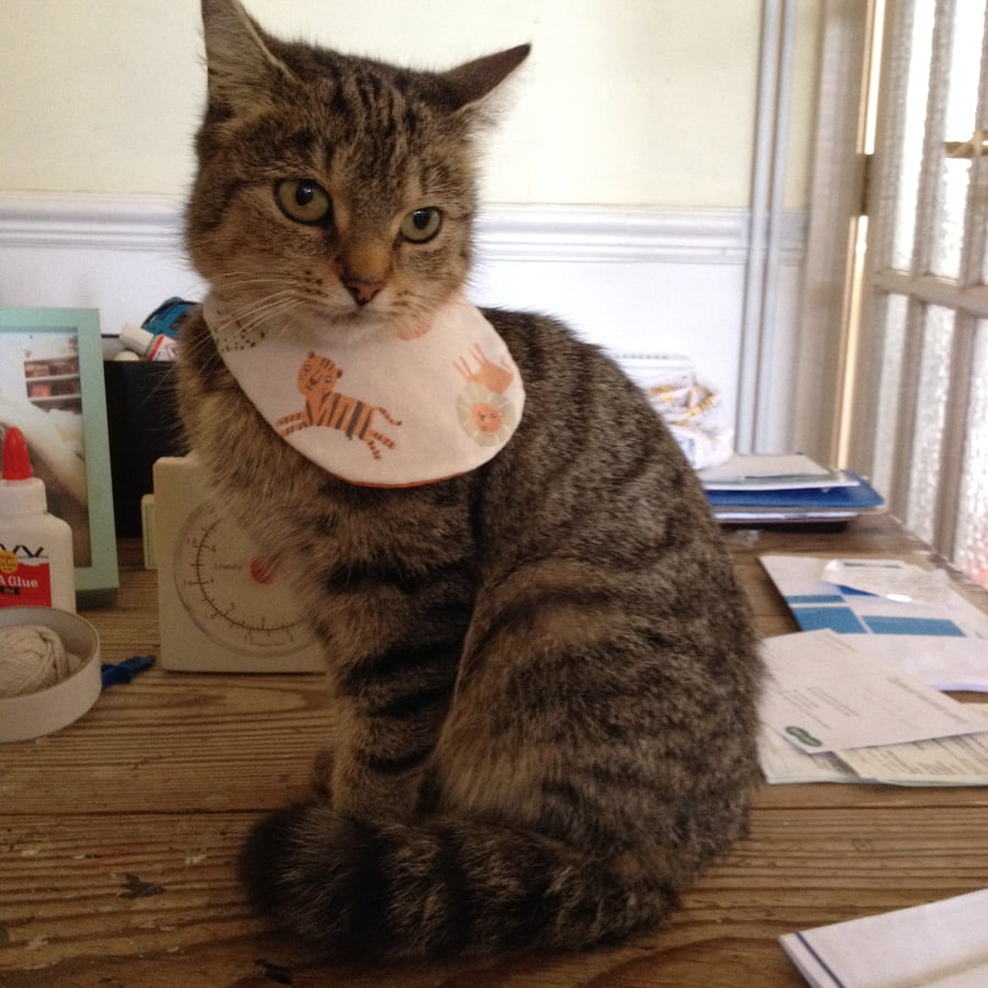 Hand stiched cat bandana.