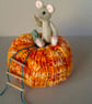 Dora, a tiny jointed mouse sitting on a pumpkin - Image 5