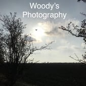 Woody's Photography 