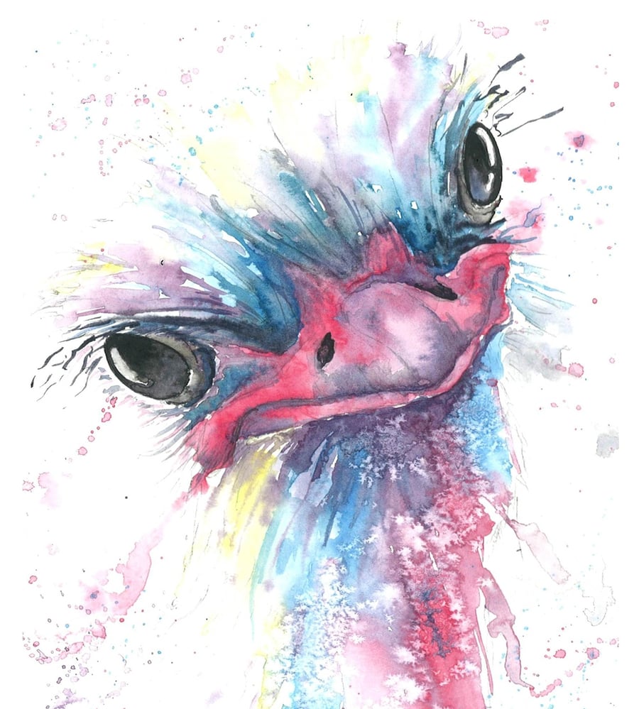 Gekko Art Watercolours