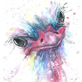 Gekko Art Watercolours