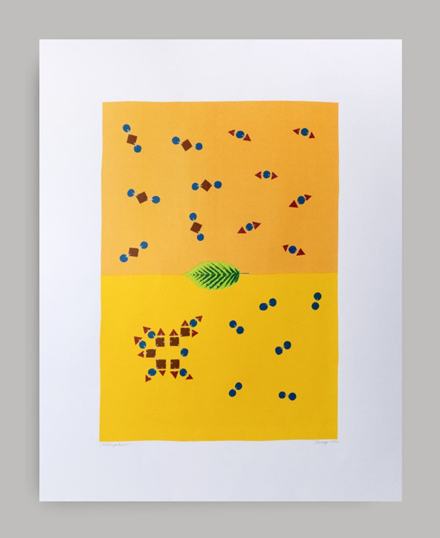 'Photosynthesis': 6-colour screen print. Limited Edition of 31