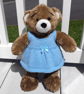KNITTING PATTERN PDF Pastel Blue Dress for Teddy - Image 1