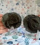 Fossilised Ammonite Split Pair From Whitby Beautifully prepped polished & stands - Image 3