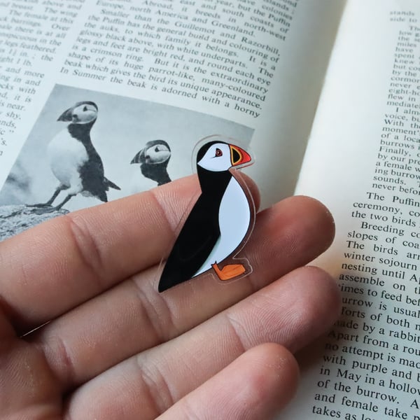 Puffin Recycled Acrylic Pin - British Birds Badge