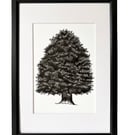 Original Tree Illustration with Mount Board 