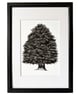 Original Tree Illustration with Mount Board 