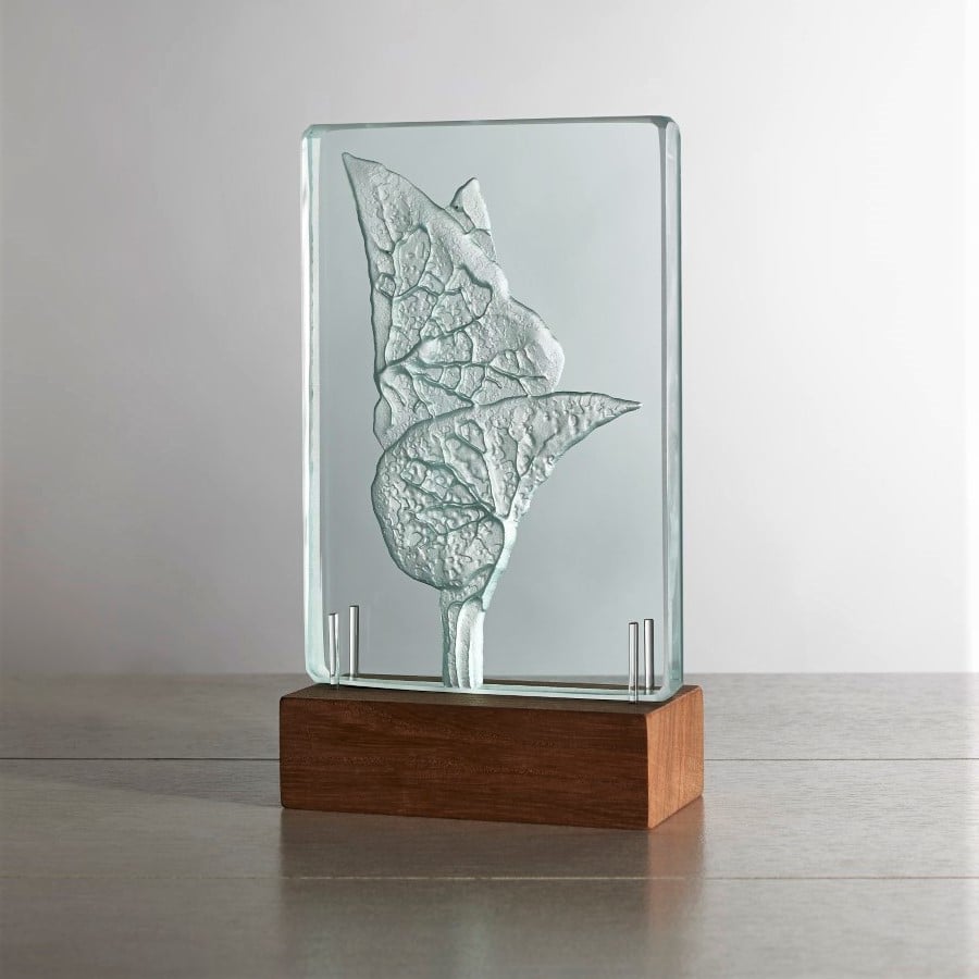 Birthwort. Engraved Sandblasted Glass Table Light Sculpture By Tim Carter
