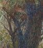 ORIGINAL - Autumn Glade - Image 2