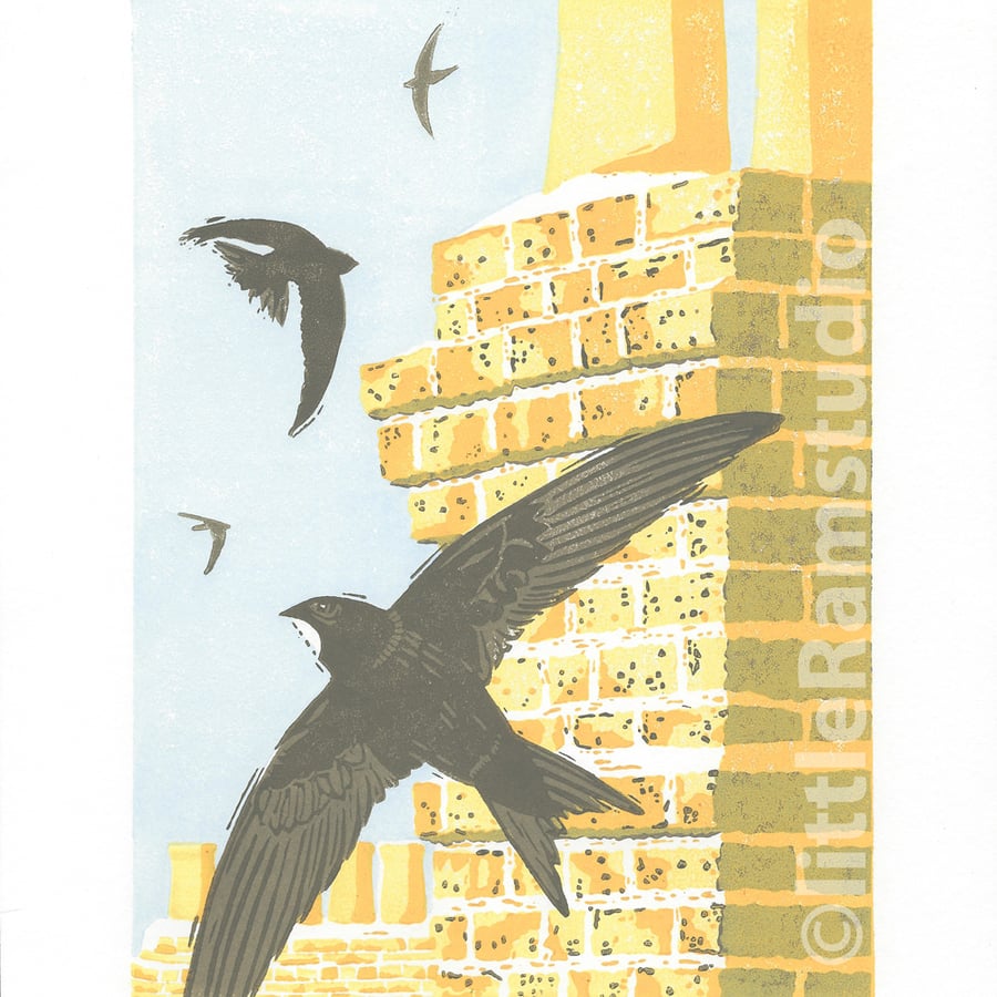 Urban Swifts - Original hand cut limited edition linocut print