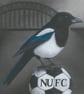 Newcastle FC Magpie Art print A3 - Folksy