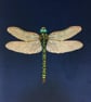 DragonFly Cushion - Image 2