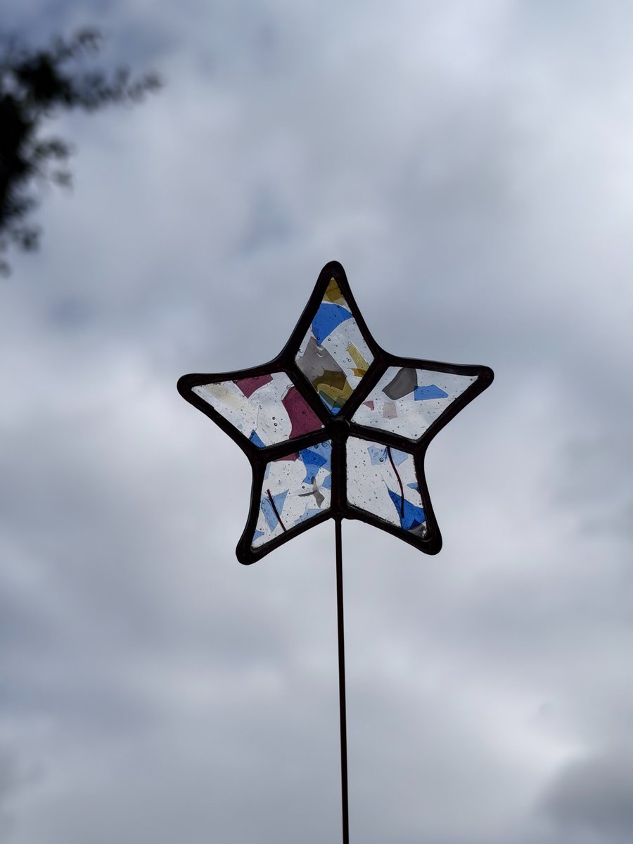 Star plant stake