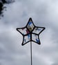 Star plant stake - Image 1