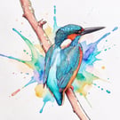 Kingfisher Norfolk Greeting Card A5