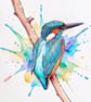 Kingfisher Norfolk Greeting Card A5