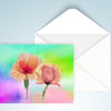 Poppies Spring Flowers Birthday Card