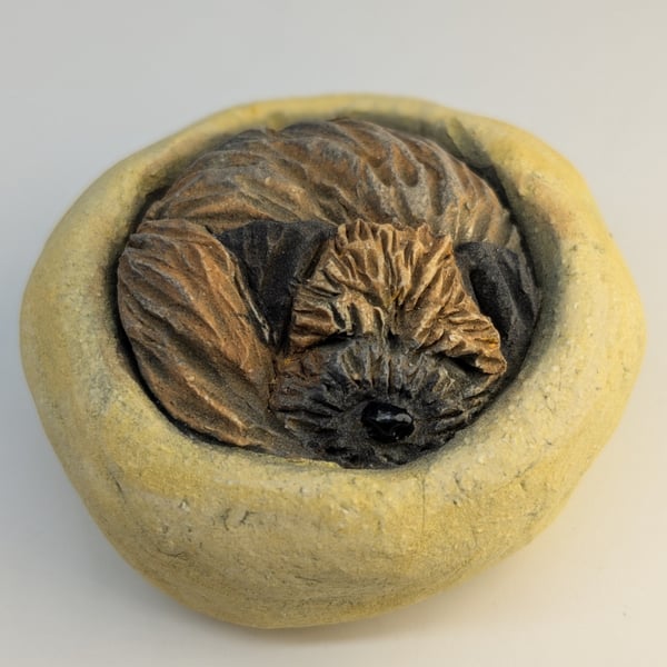 Border Terrier Yorkshire Pudding - 10