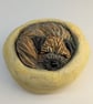 Border Terrier Yorkshire Pudding - 10