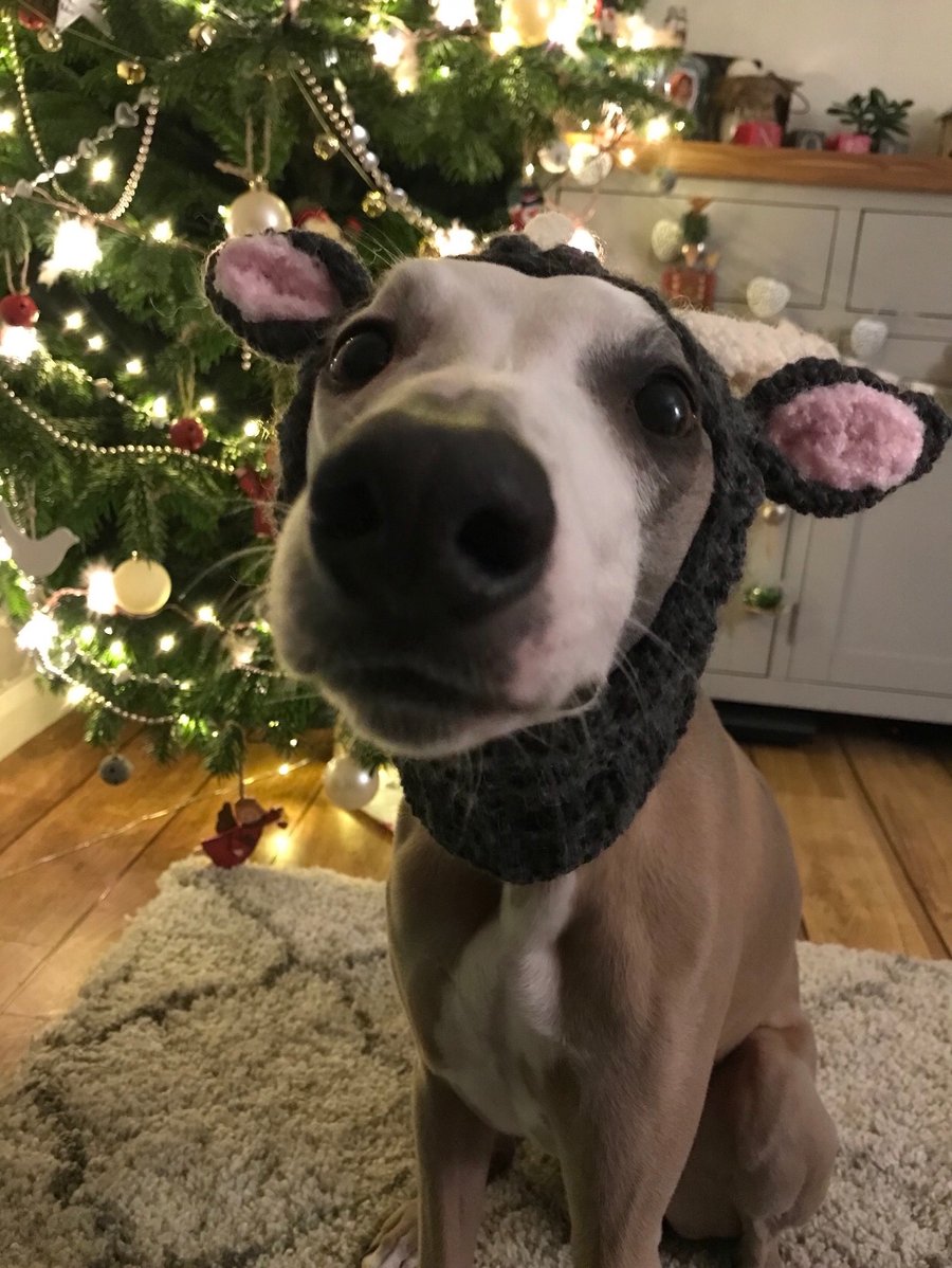 Christmas Dog Reindeer Snood-doggie hat-dog clothes-made to order - Hats