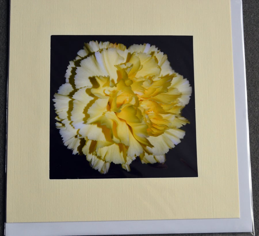 large greetings card - floral photographic