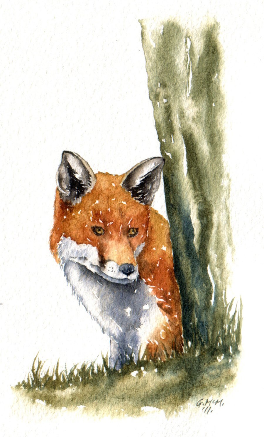 Original Watercolour sketch - Red Fox