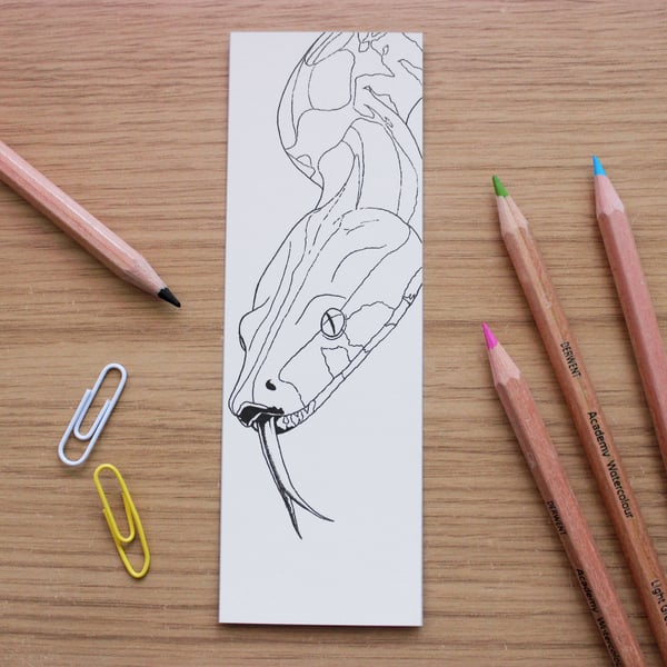 Boa Constrictor Bookmark - Kids Colour-In Animal Education Bookmark