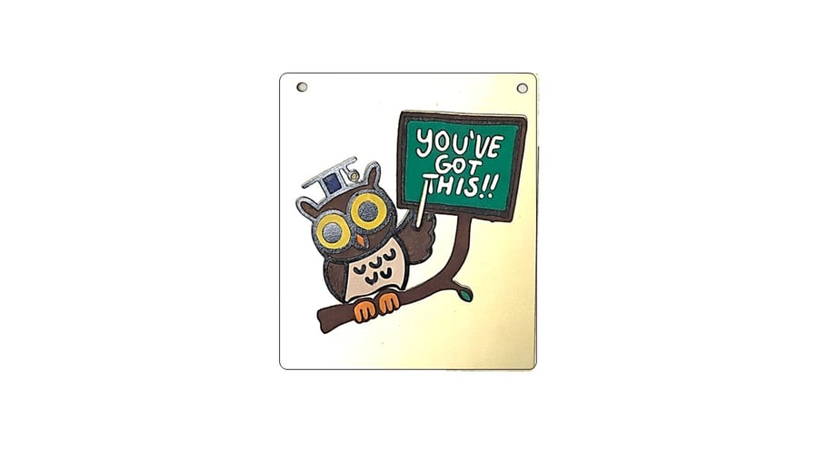 Motivational Owl wall Sign – “You’ve Got This!!”,  - FREE UK SHIPPING