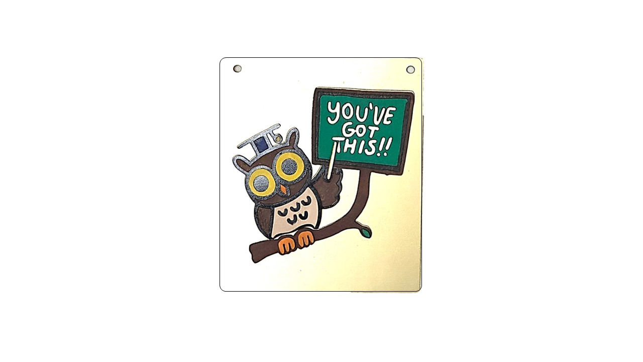 Motivational Owl wall Sign – “You’ve Got This!!”,  - FREE UK SHIPPING