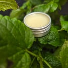 Lemon-Balm Salve Natural Ingredients