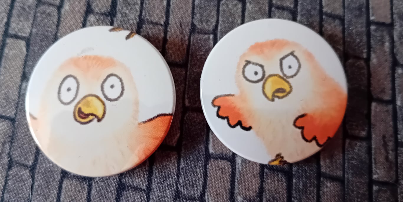 Picture Book  Badge - Birds