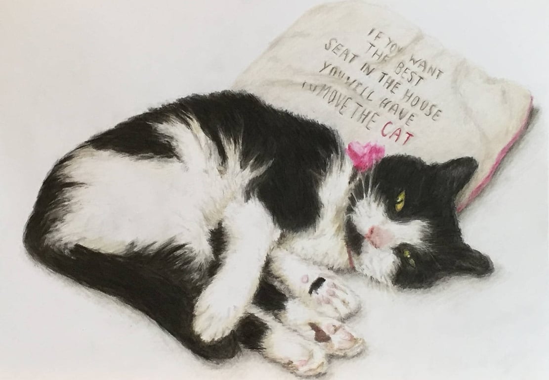 A4 Custom Pet Portrait made with Coloured Pencil