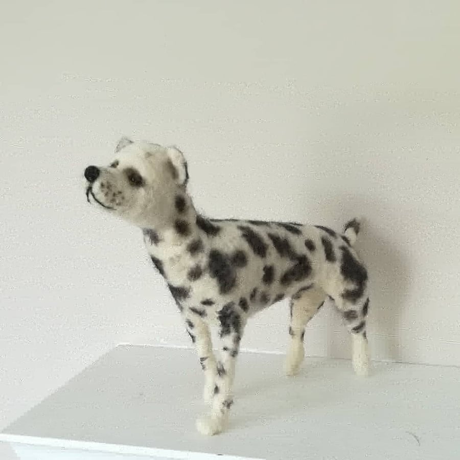 Doug the Dalmatian dog. Needle felted wool sculpture collectable collectables OO