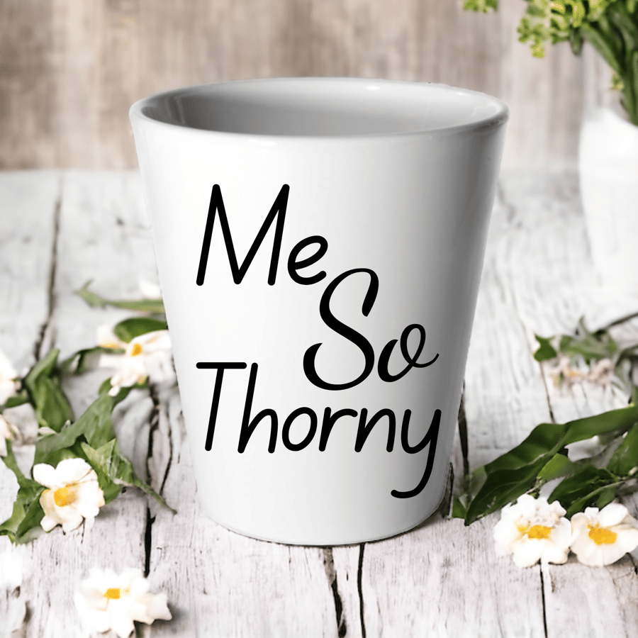Me So Thorny -Succulent Cactus Flower Pot 
