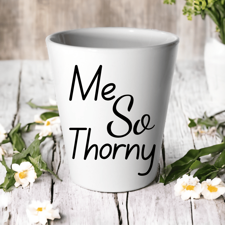 Me So Thorny -Succulent Cactus Flower Pot 