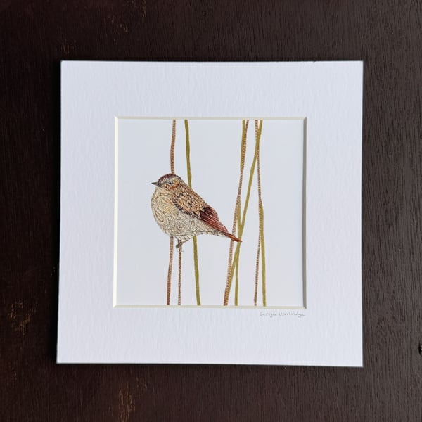 'Whinchat' 8" x 8" Mounted Print