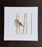 'Whinchat' 8" x 8" Mounted Print