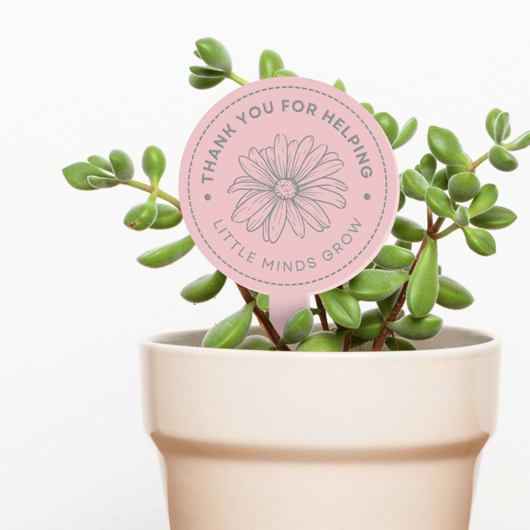 Little Minds - Flower Sketch Personalised Plant Tag: Teacher Thank You Gift