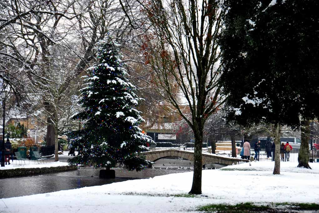 Bourton On The Water Christmas Tree Photograph Print
