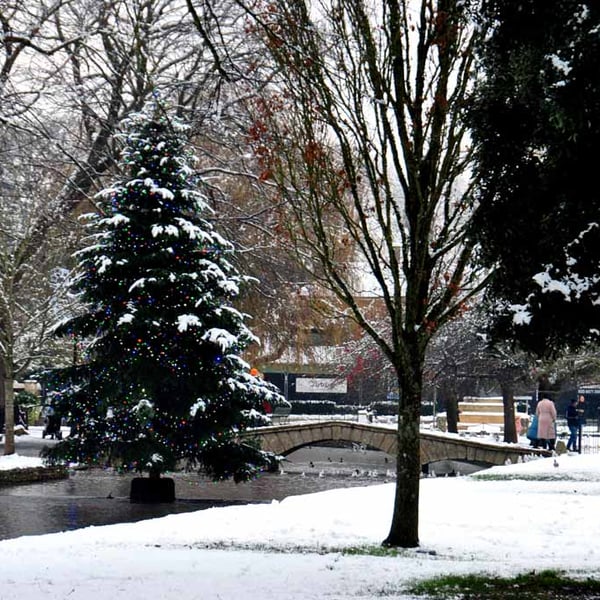 Bourton On The Water Christmas Tree Photograph Print