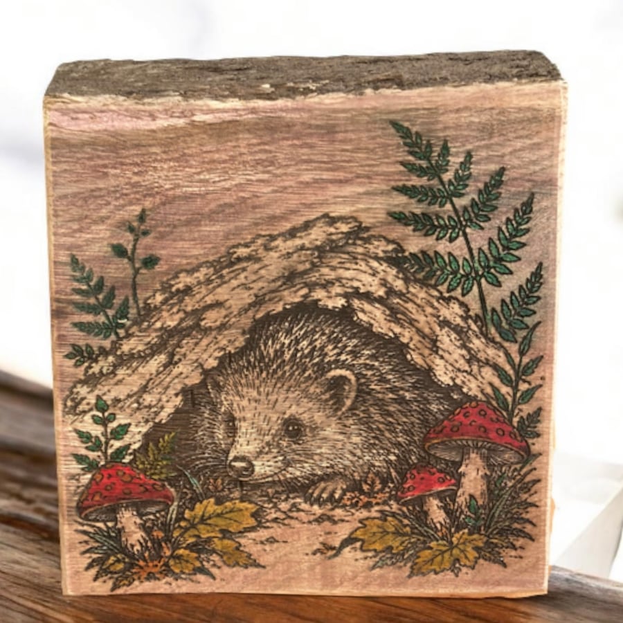 Handcrafted Welsh Oak Hedgehog Wood Carved Panel with Watercolour Details