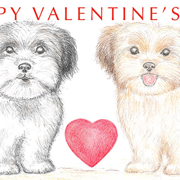 Two Little Dogs - Valentine Card