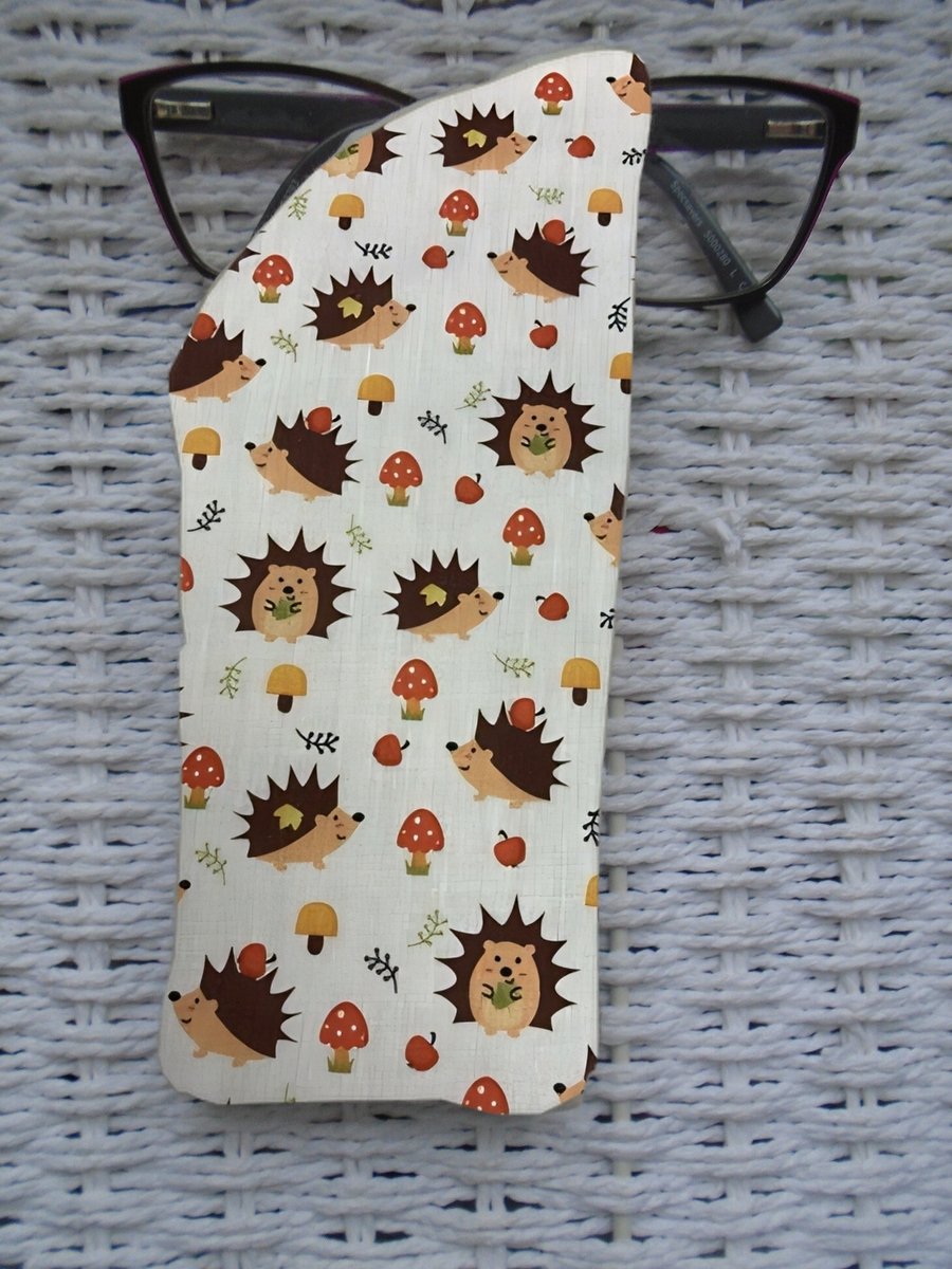 Cute Hedgehogs Woodland Themed Glasses Case 