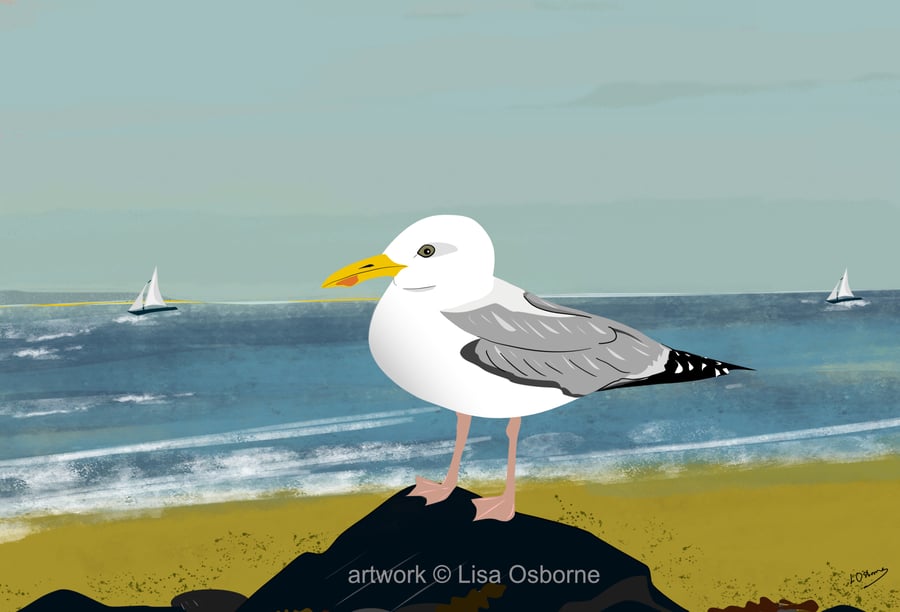 Gull on the beach - seagull -  bird art print - coastal birds