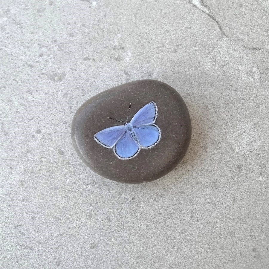 Butterfly Painted Stone Art  'Common Blue Butterfly'