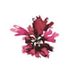 Seaweed art print - Rosy Fan Weed