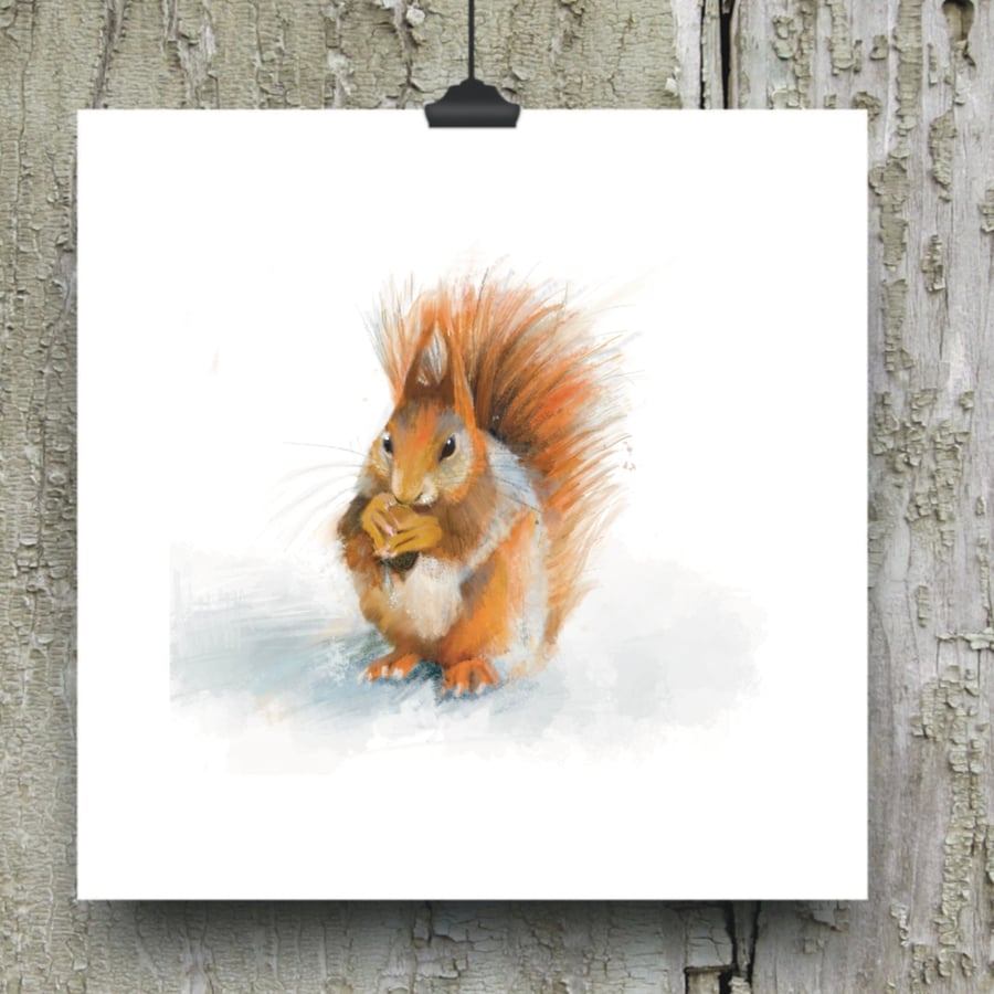 Squirrel Greetings Card - Squirrel Print