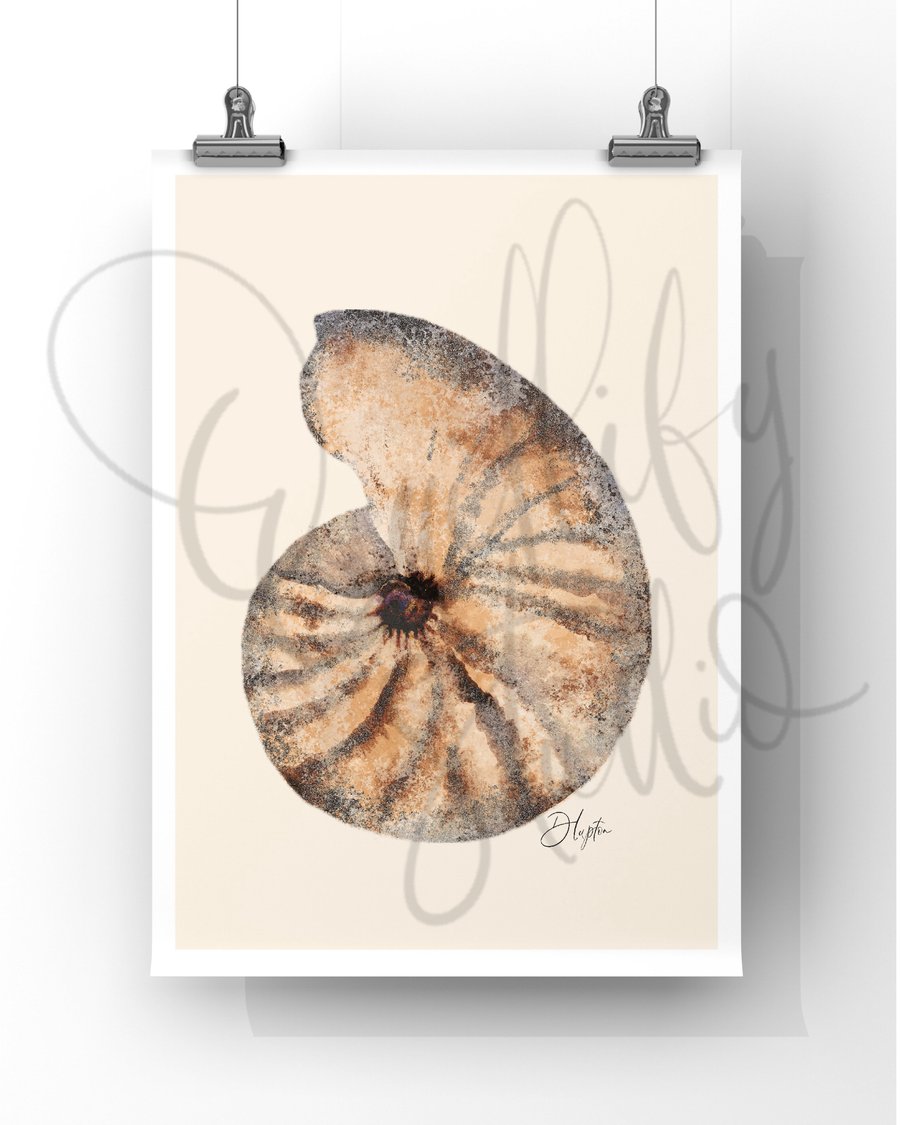 Watercolour Signed Art Print - Shell One Natural