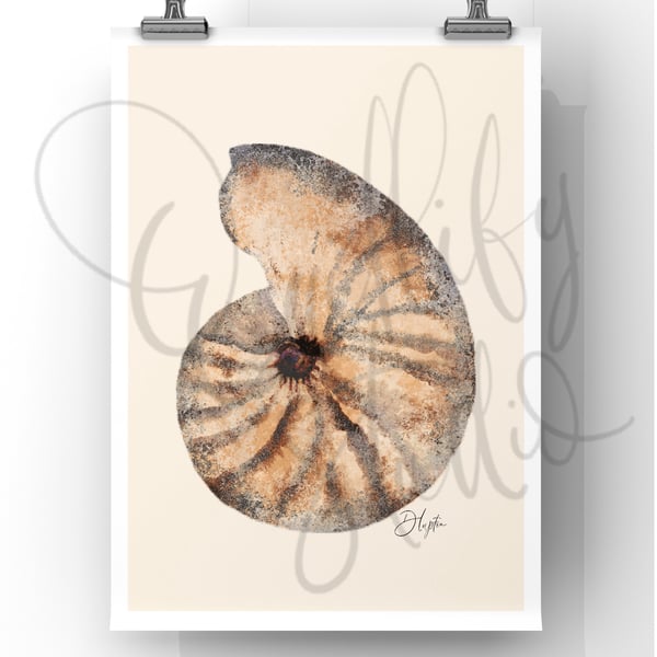 Watercolour Signed Art Print - Shell One Natural